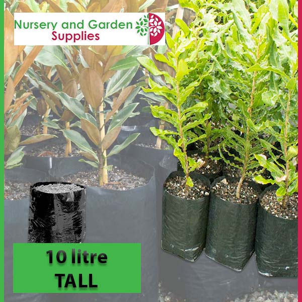 10 litre TALL Poly PB18 Planter Bags - Premium Grade