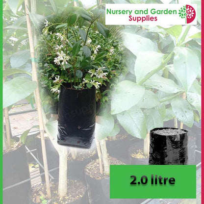 2 litre Poly PB3.5 Planter Bags - Premium Grade