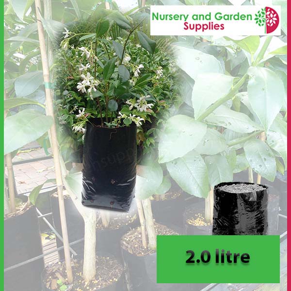 2 litre Poly PB3.5 Planter Bags - Premium Grade