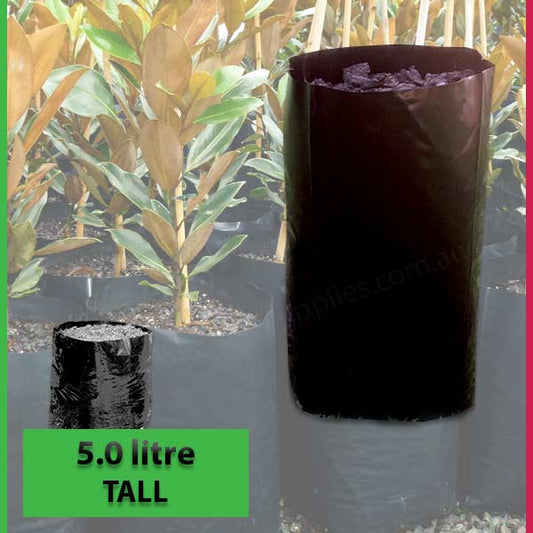 5 litre Tall Poly Planter Bags at Nursery and Garden Supplies NZ - for more info go to nurseryandgardensupplies.co.nz