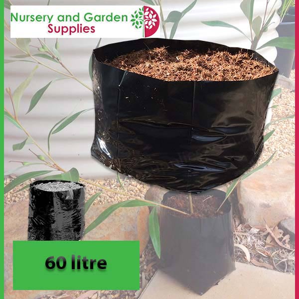 60 litre SQUAT Poly PB110 Planter Bags - Premium Grade
