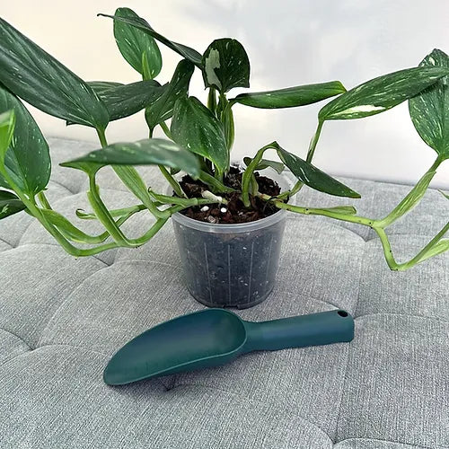 Houseplant Potting Shovel