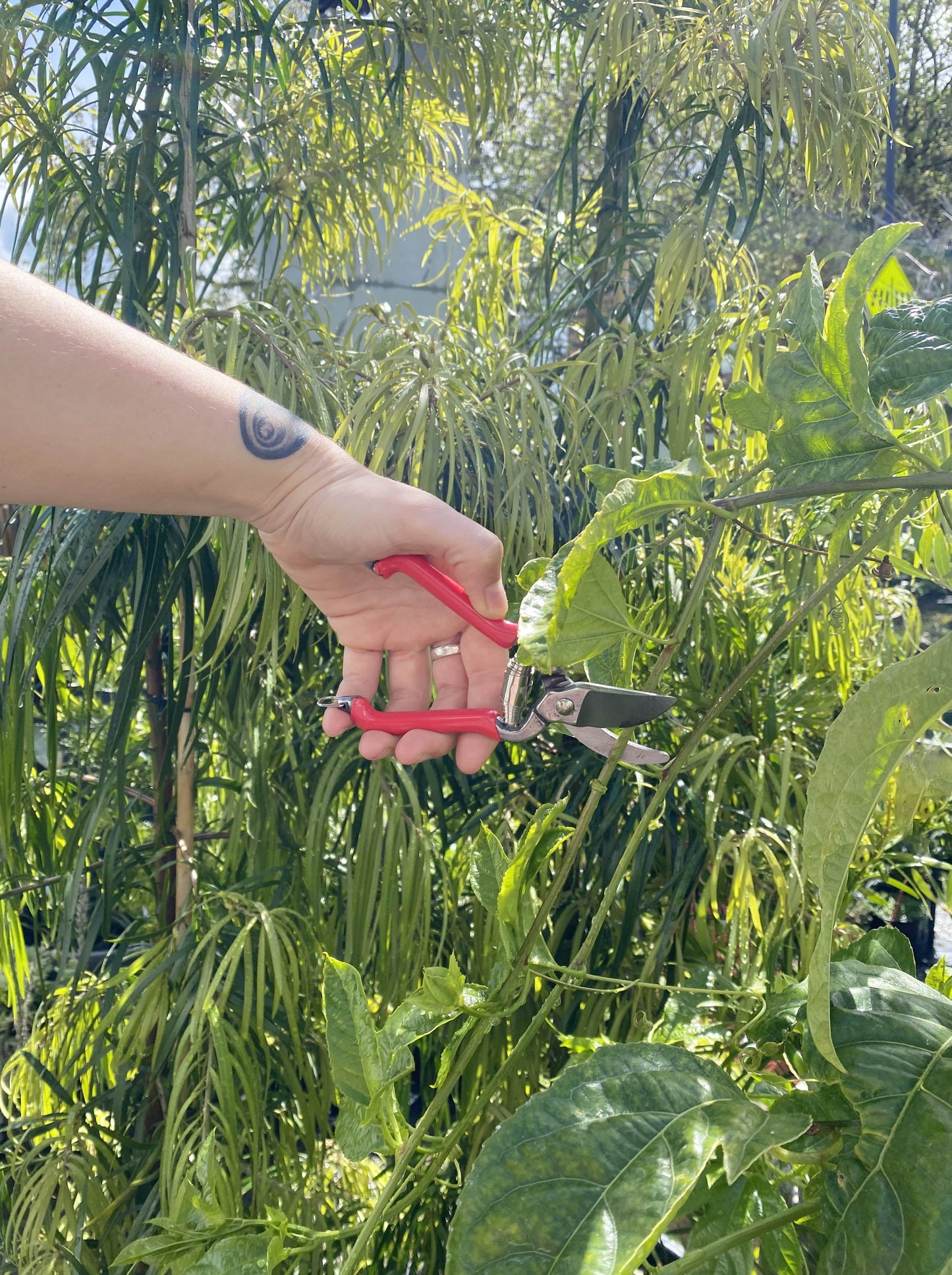 Pruner Mini Red Handle