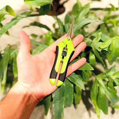 Pruning Scissors