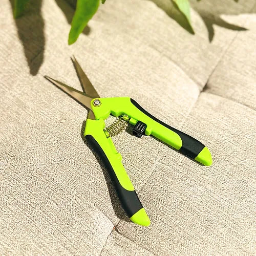 Pruning Scissors