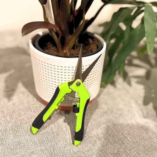 Pruning Scissors