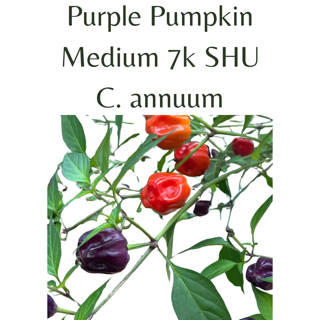 ?!label-Indicative photo