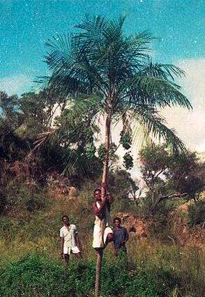 ?!label-Indicative photo