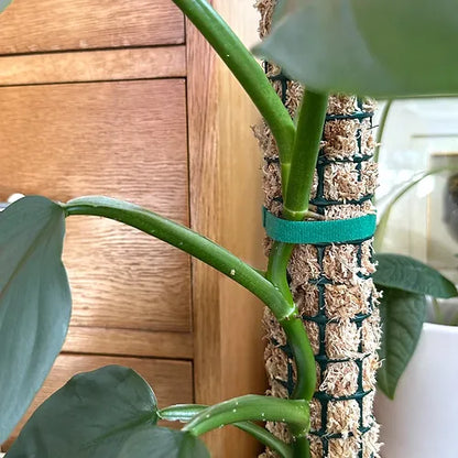 Reusable Velcro Plant Ties