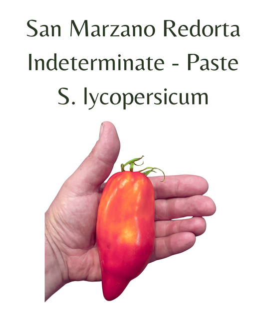 San_Marzano_Redorta_Tomato_10_seeds