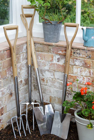 Stainless border spade