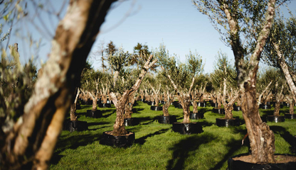 ?!label-Indicative photo