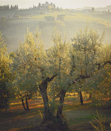 ?!label-Indicative photo