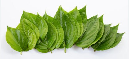 ?!label-Indicative photo