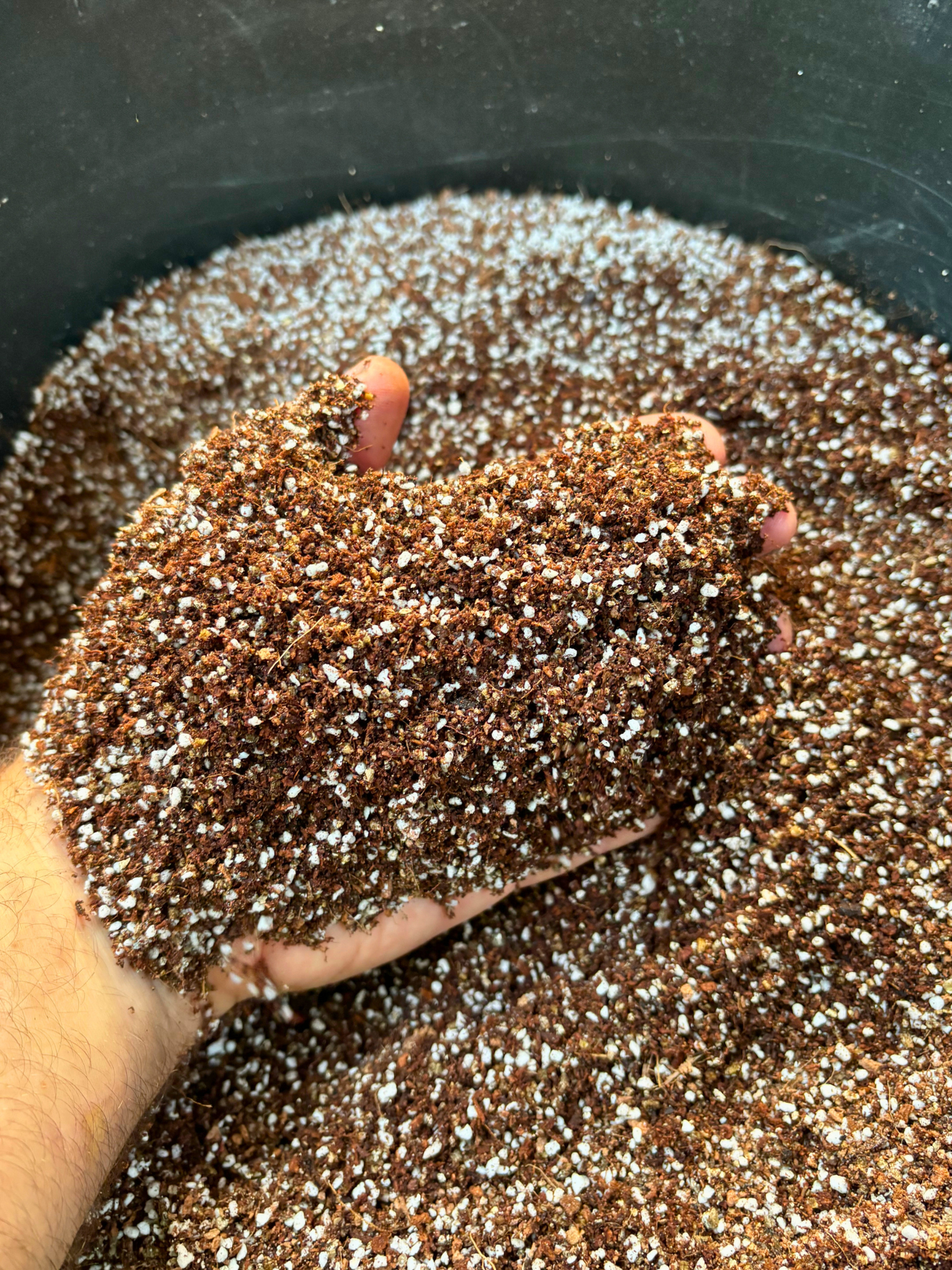 Seed_Raising_Mix__10_liters