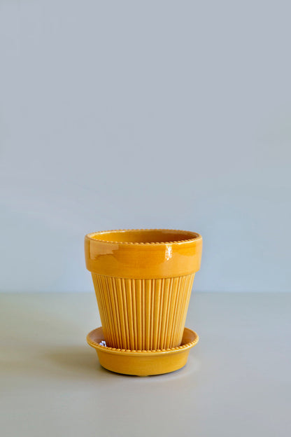 'Simona' Flower Pot & Saucer