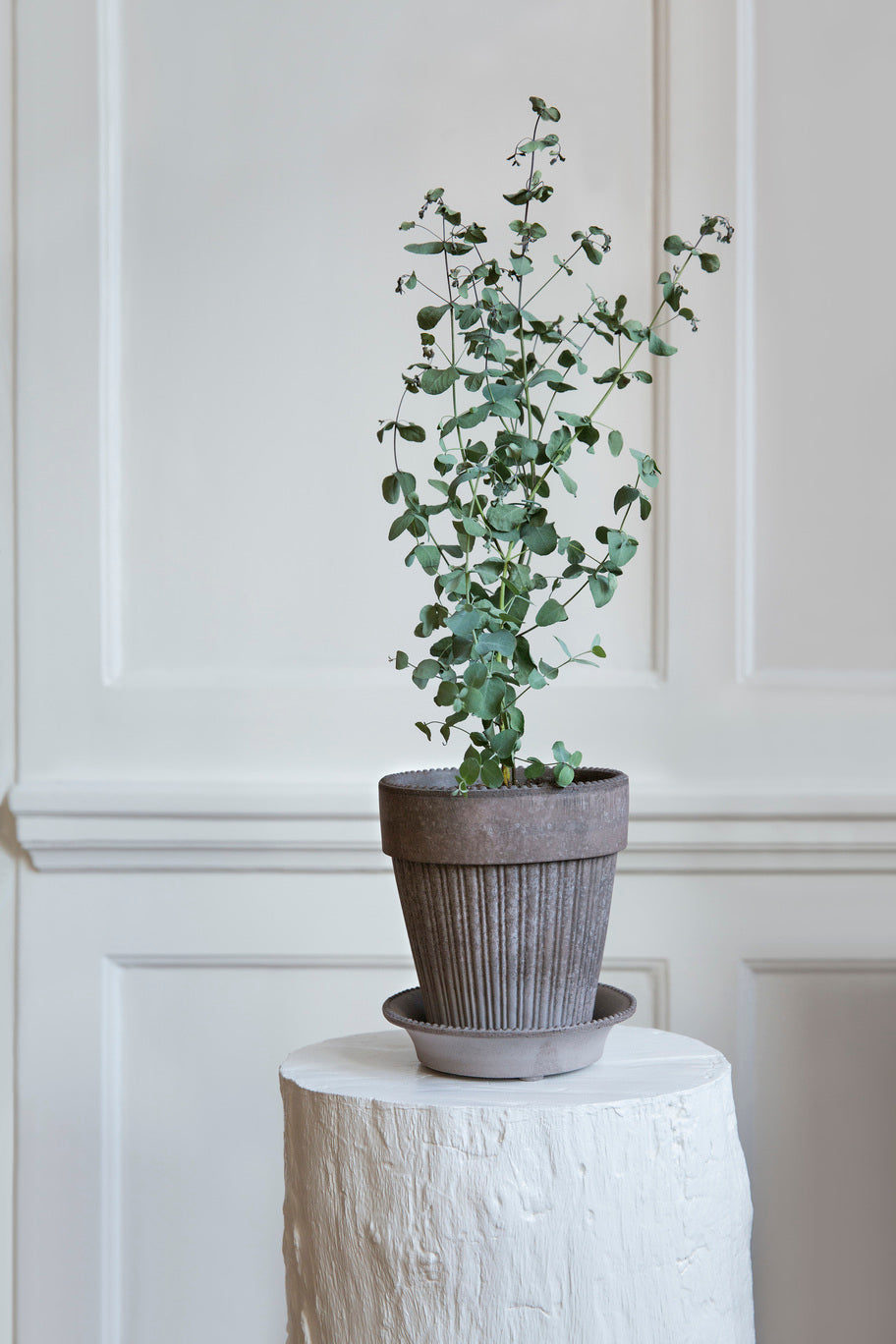 'Simona' Flower Pot & Saucer