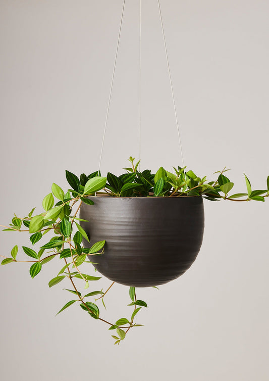 Spherical Hanging Planter