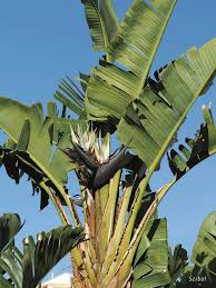 ?!label-Indicative photo