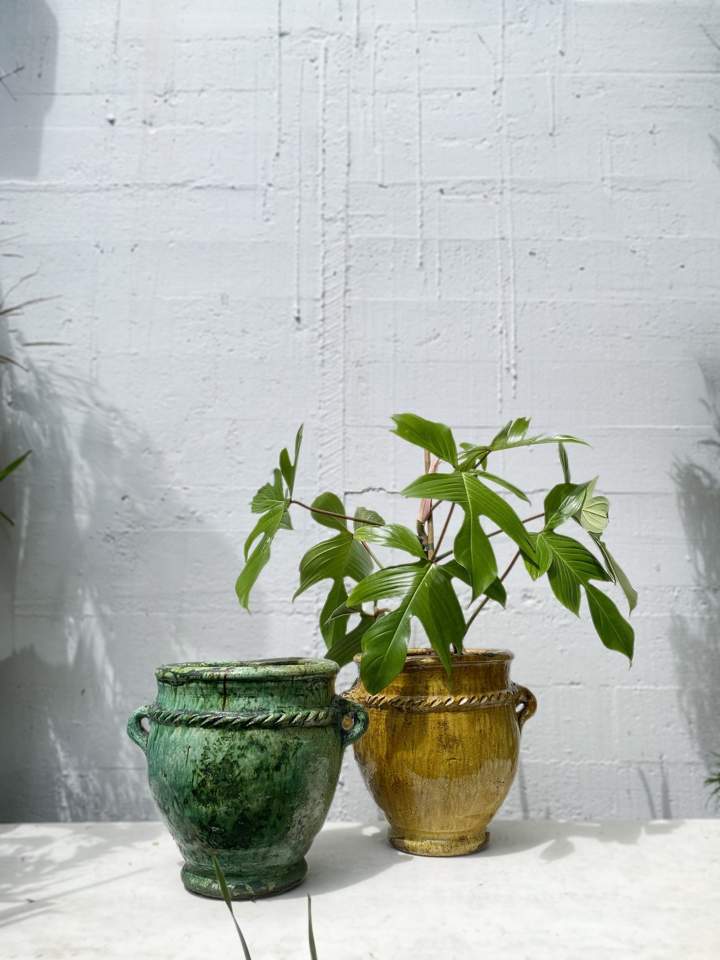 Moroccan Tamegroute Planter