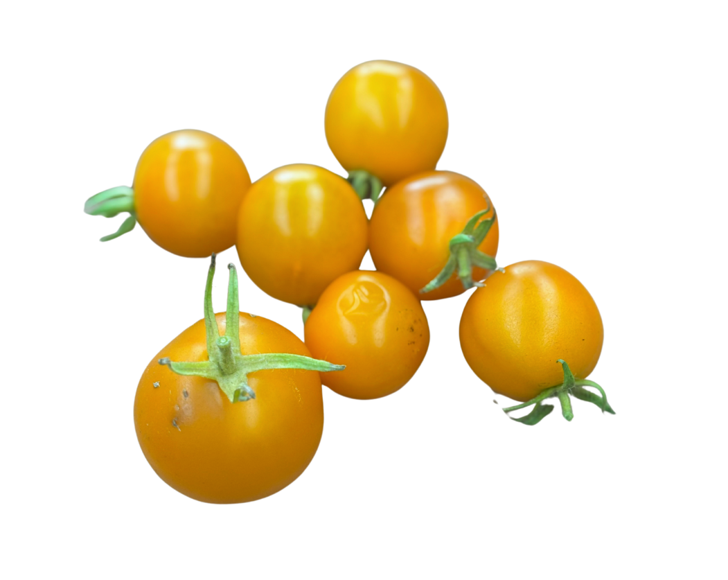 ?!label-Indicative photo