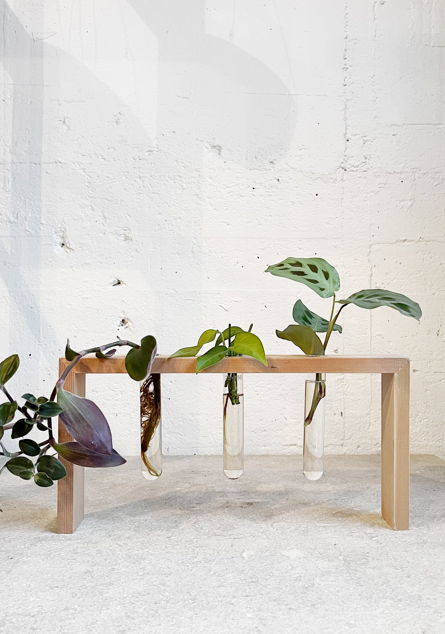 Test Tube Stand