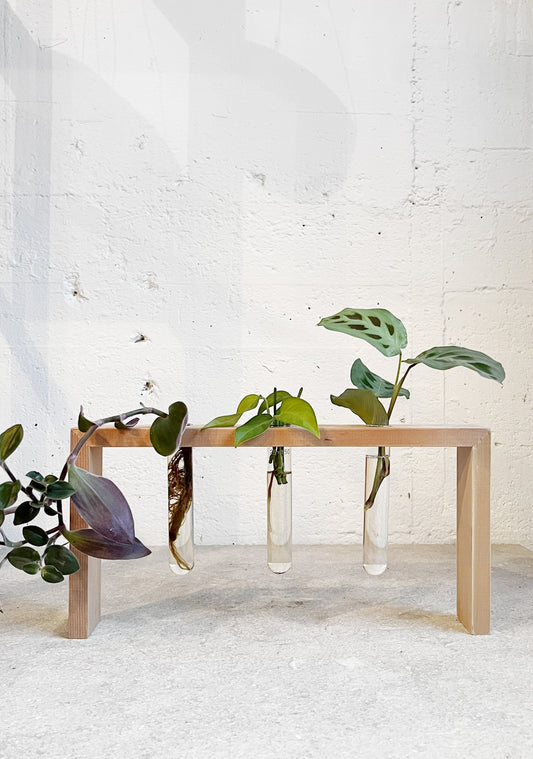 Test Tube Stand