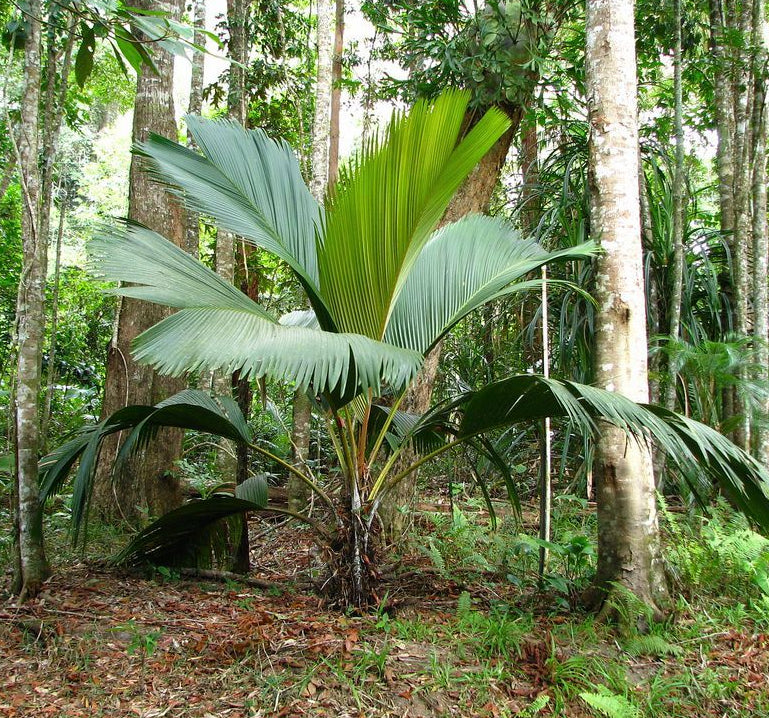 ?!label-Indicative photo