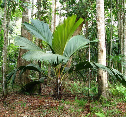 ?!label-Indicative photo