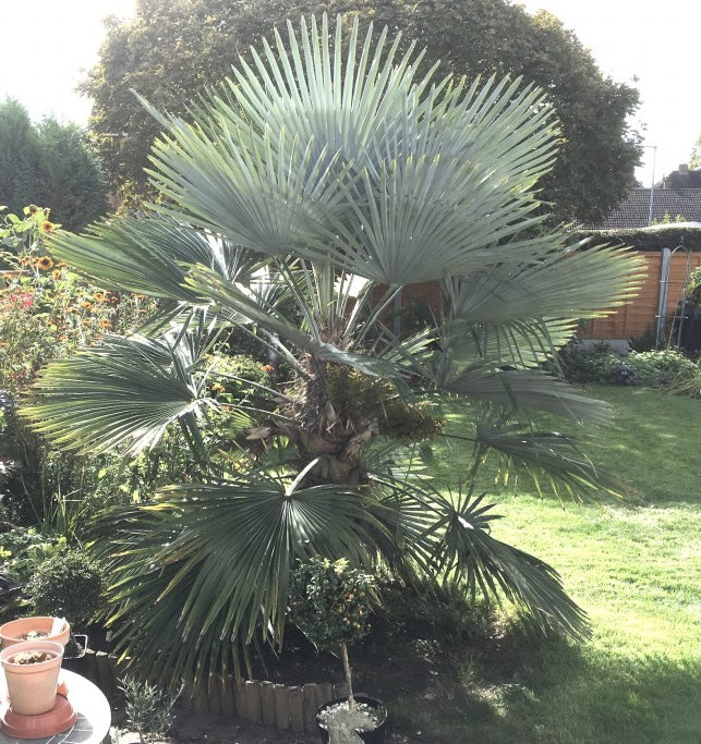 ?!label-Indicative photo