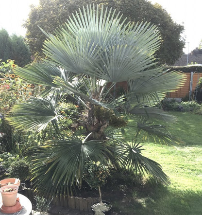 ?!label-Indicative photo