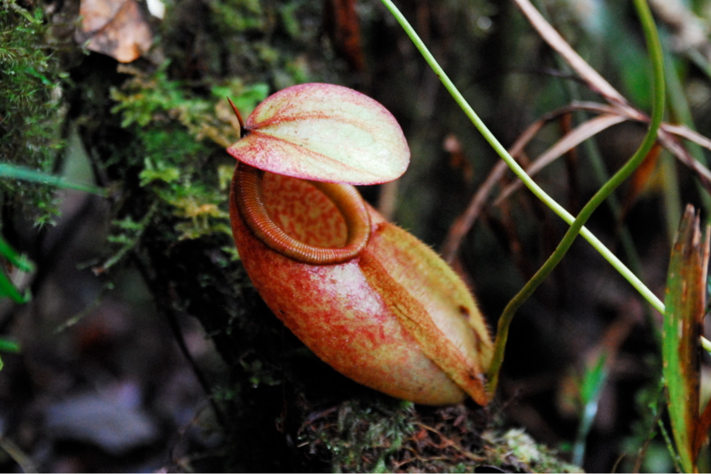 ?!label-Indicative photo