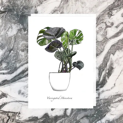 Variegated Monstera Greeting Card