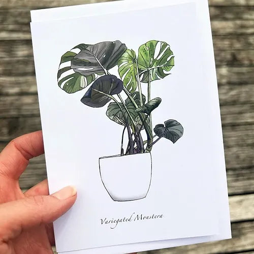 Variegated Monstera Greeting Card