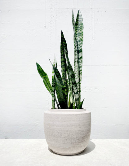 Volumes pot
