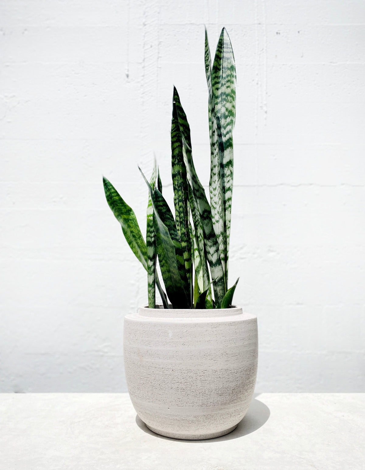 Volumes pot