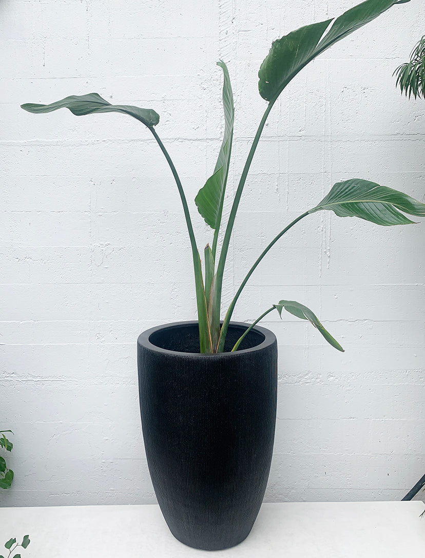 Denton Crucible Planter