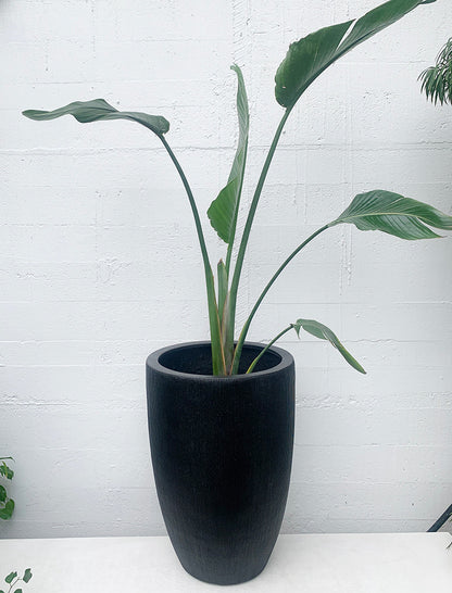 Denton Crucible Planter