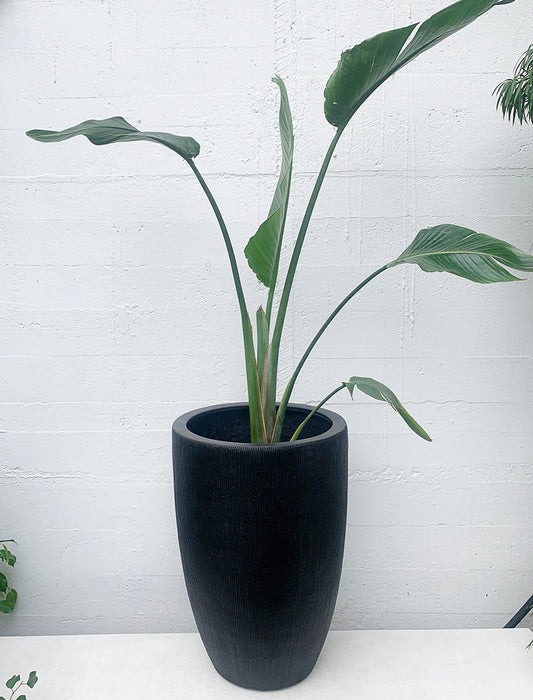 Denton Crucible Planter