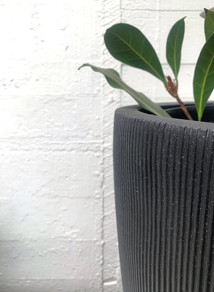 Denton Crucible Planter