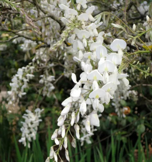 ?!label-Indicative photo