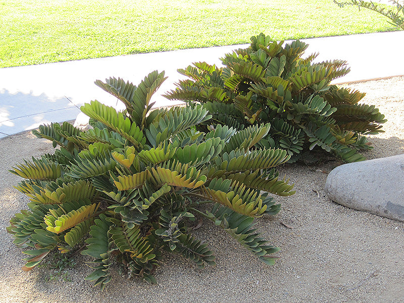 ?!label-Indicative photo