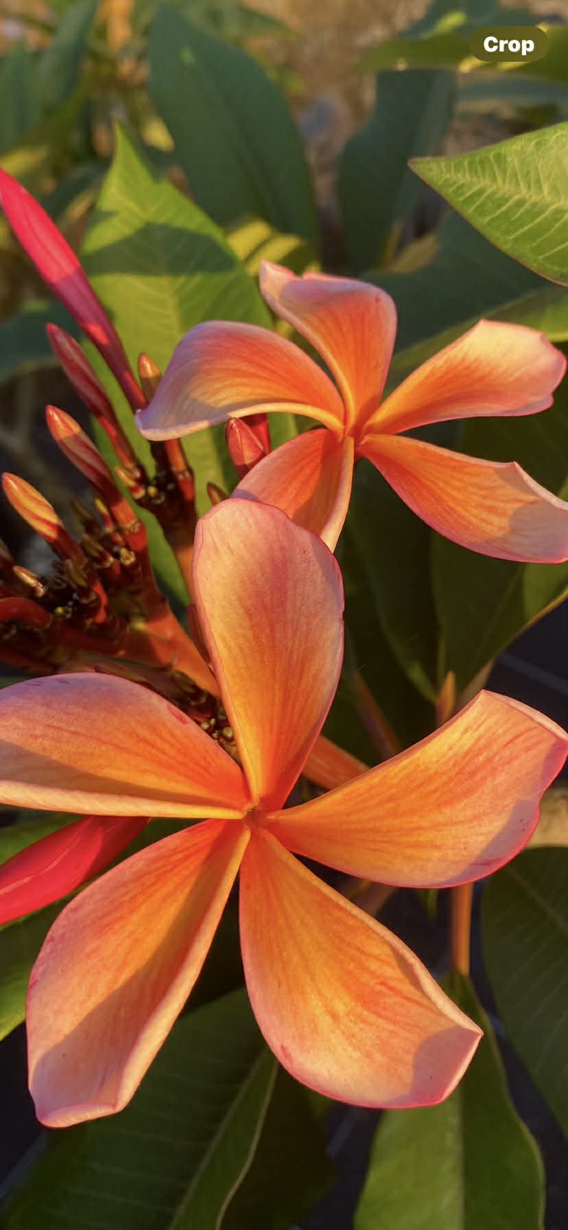 ?!label-Indicative photo