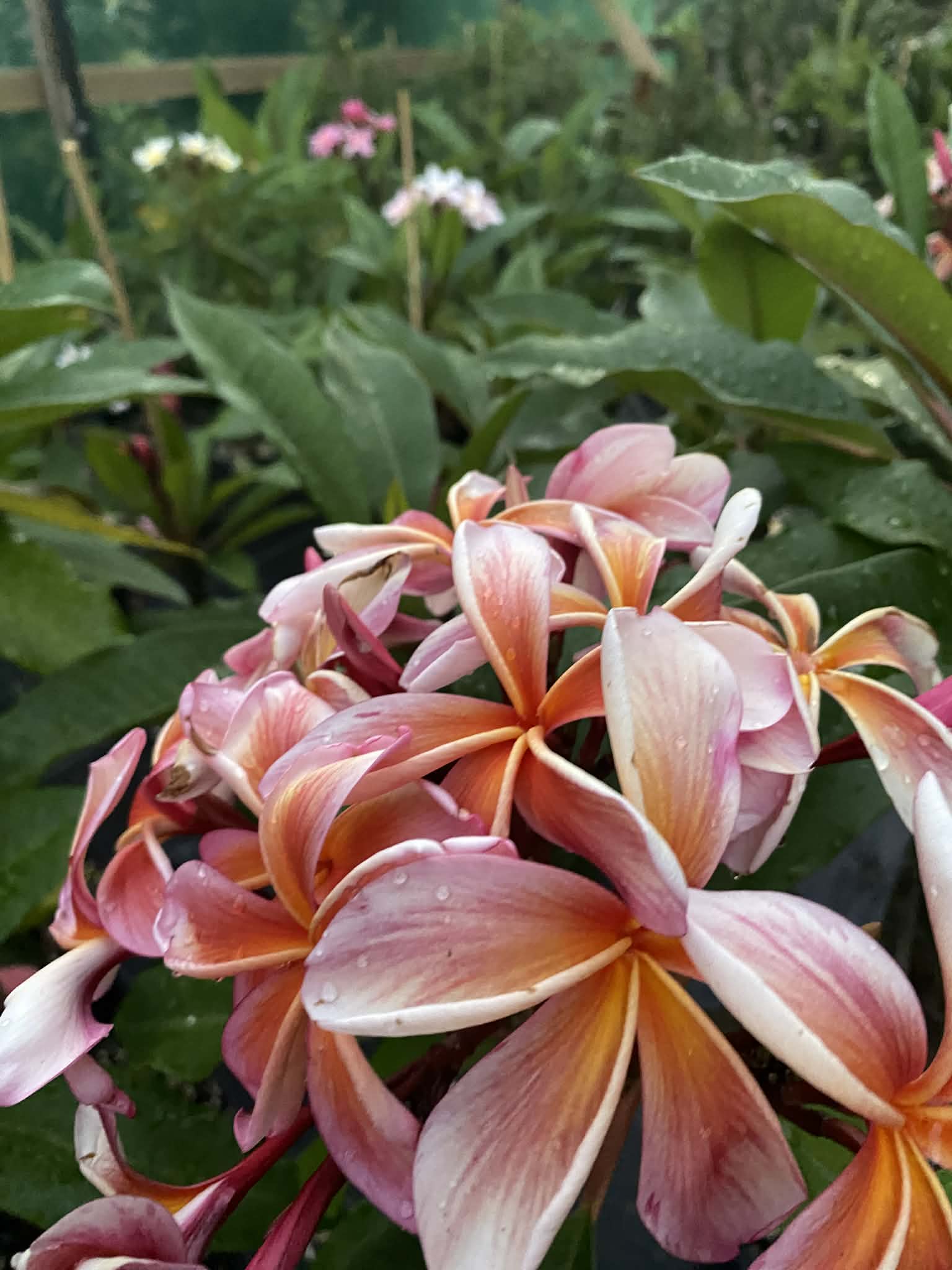 ?!label-Indicative photo