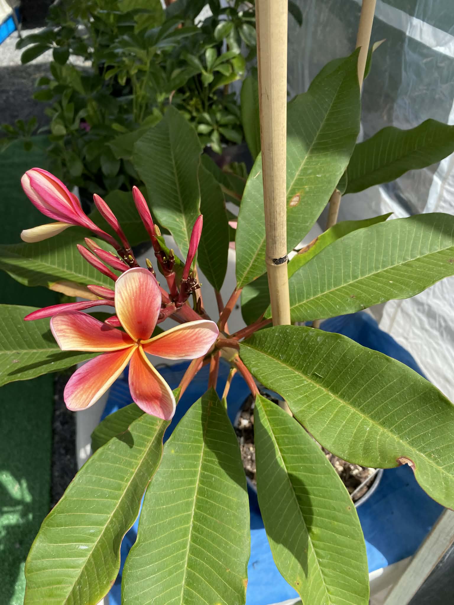 ?!label-Indicative photo