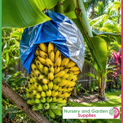Banana Fruit Protection Covers