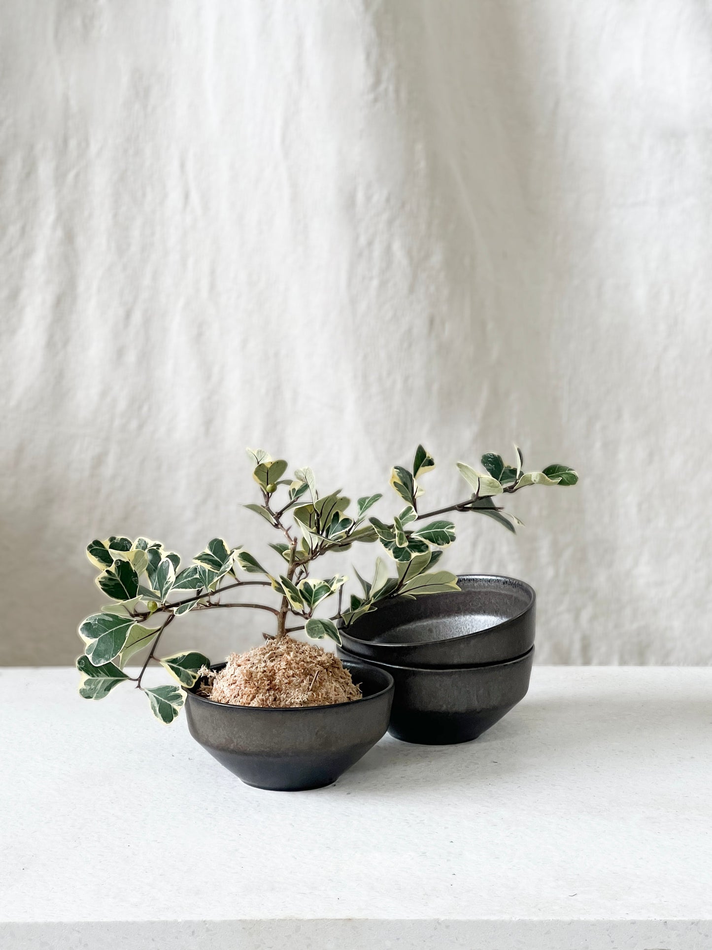 Ceto bowl
