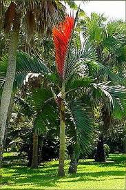 ?!label-Indicative photo