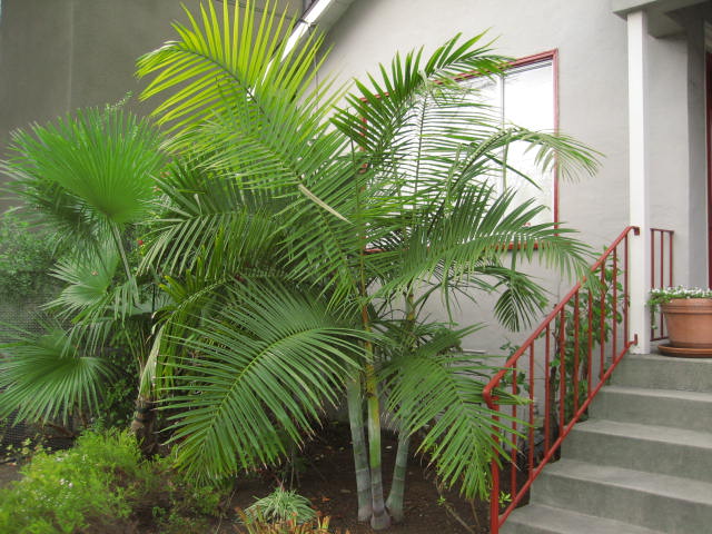 ?!label-Indicative photo