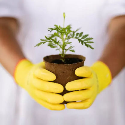 All-Purpose Gardening Gloves – Flexible, Reliable, Everyday Favourites